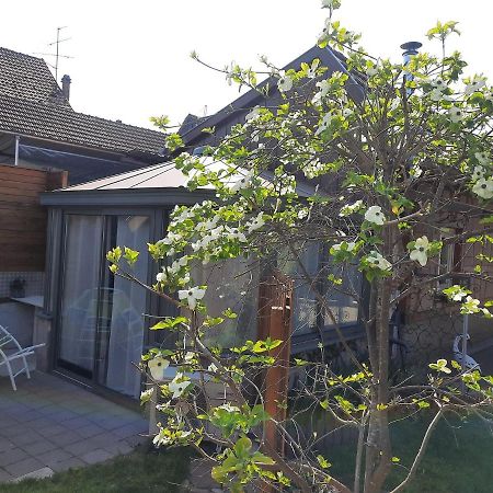 Oasis D'Alsace Valff Exterior foto