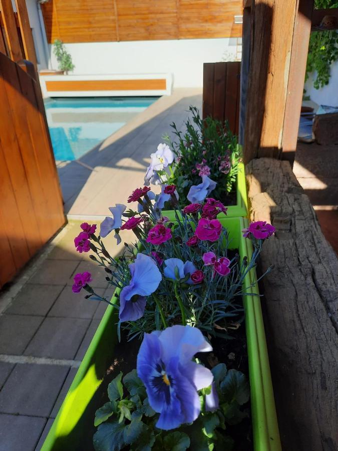 Oasis D'Alsace Valff Exterior foto